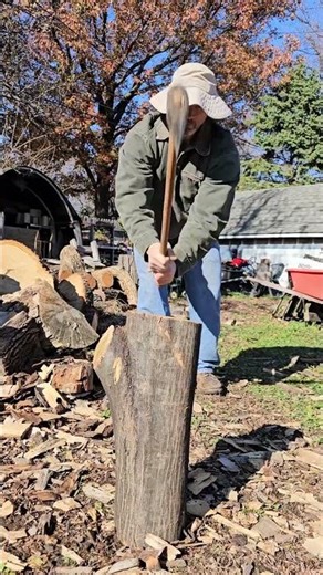 What is this mystery wood?! #wood #log #woodworking #maker #mystery #education #lumberjack