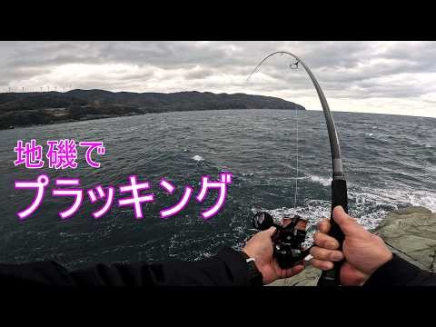 地磯でプラッキング【磯釣り】【Rock fishing】