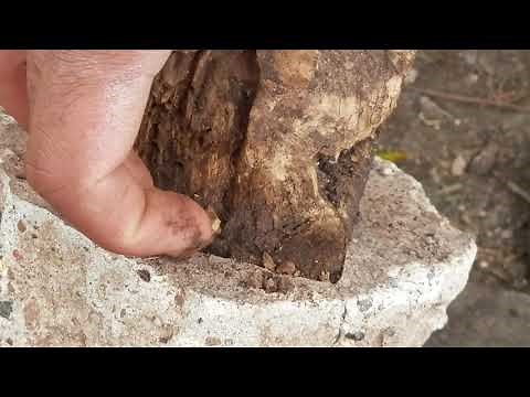 Why We use Post Saver Sleeves ?