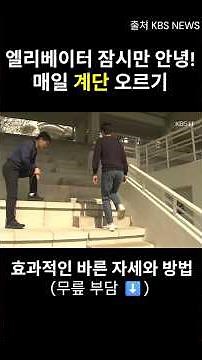 계단 오르기 운동 다이어트 효과, 계단 오르는 방법, 올바른 자세 #계단운동 #계단리프트