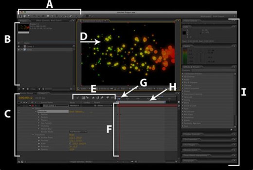 After Effect's Guide