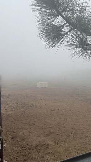 Foggy morning on the ranch. #tehachapi | Wild Horse Diaries