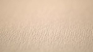 ł₣_¥ᏫɄ.$01.€₱08