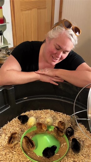 The cringe meter has been set to the highest level and I don’t care! 🤣 I am obsessed with my sweet little flock and I keep singing to them! They make me feel like I’m in a Disney movie (well except for all of the poop I’ve had to clean up)! I can’t wait to share all of their names with you! Oh, I forgot to tell you, we got 12! 🫣😳🤣 #chickensofinstagram #chickens #babychicks #backyardfarm #cringe 🤣🤣🤣