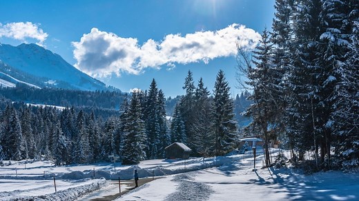 Unter unserem Himmel: Wenn es schneit im Gunzesrieder Tal