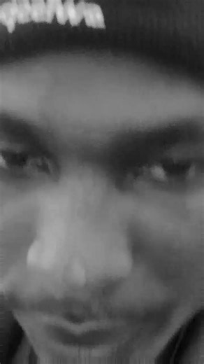 Embrace the Reggae Vibes with Creator Search Insights