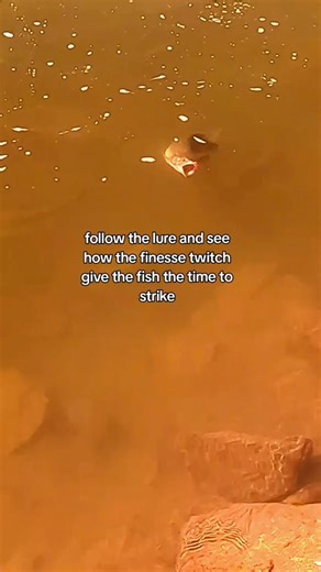 follow the jig #fishing #fishingtechniques #salmonfishing #outdoors