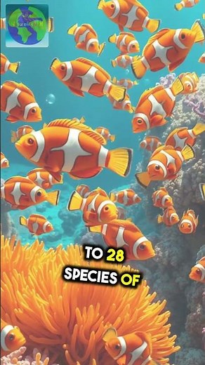 Discover the Indian Ocean: Home to Clownfish, Monsoons & Surprising Facts!