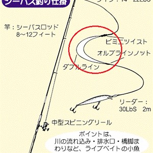 【ビミニツイストの結び方】ダブルラインで強度が高い結び方はこれだ！