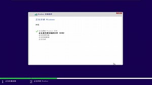 Win10_Pro_x64_20H1_19041.264_NOAPPS_LITE 安装