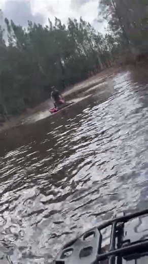 taking stock 2024 foreman 520 deep #mudding #foreman520 #florida #fourwheeler