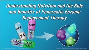 Understanding Nutrition and the Role and Benefits of PERT