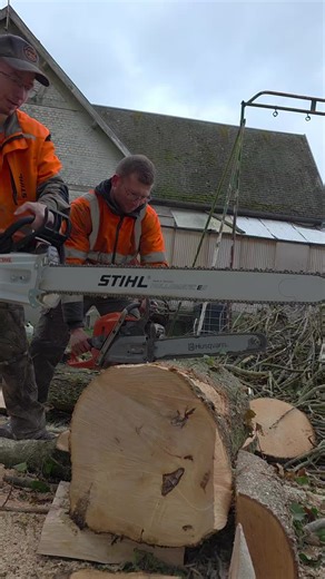 Ms881 vs 592xp: A Chainsaw Showdown