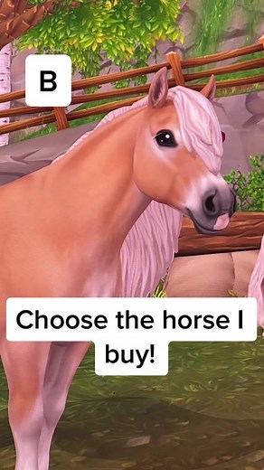 Help Me Choose a New Haflinger Horse! Comment Your Pick!