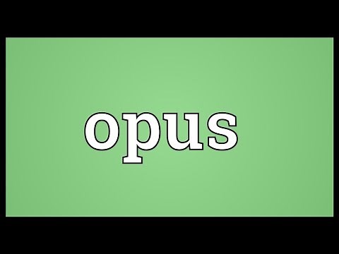 Opus Meaning