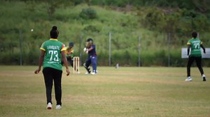 France Cricket - Association Française de Cricket on Reels