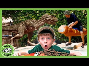 Swimming Pool Is Lava T-Rex Attack!! | 🦖🦕 T-Rex Ranch Dinosaur Videos