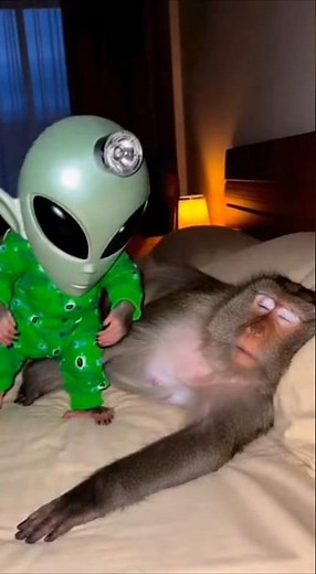Baby Monkey Wears an Alien Mask to Wake Up Mom 😂👽🐒… Mom Officially LOSING IT #mom #shorts #trending