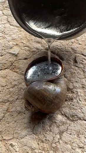 Pouring molten aluminum into shells, the finish is insane #metalworking #art #shorts