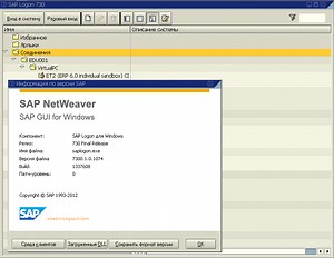 Программа Sap Logon Инструкция