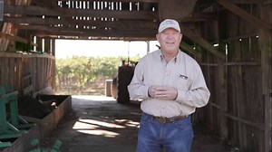 What makes Lodi special? Its winegrowers. In Lodi, there is an intense sense of cooperation among its winegrowers fueled by the belief that "a rising tide lifts all boats." In 1991, these same dedicated & visionary winegrowers established the Lodi Winegrape Commission, voting to tax their own production on an annual basis to sustain it. Today, the Winegrape Commission is comprised & funded by approximately 750 winegrowers who collectively farm nearly 110,000 acres of winegrapes. The primary goal