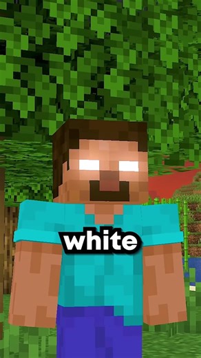 Herobrine Is Fake #minecraft