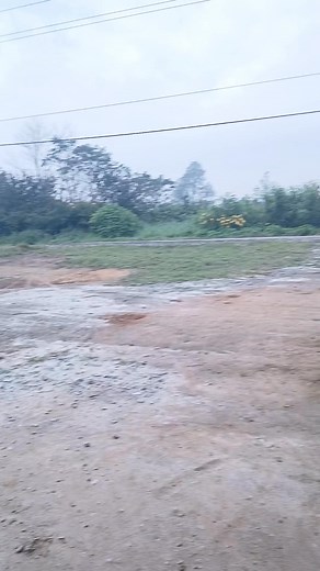 Cuci mata majo😁😁 | BATAK GOKIL