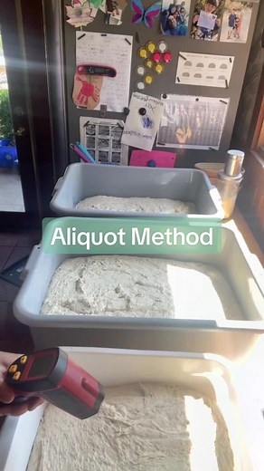Aliquot Method for Efficient Sourdough Baking