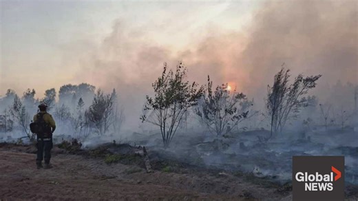 Moncton outskirts on evacuation alert as wildfire nears