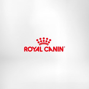 Royal Canin Veterinary Nutrition diets can support your pet's health & unleash their playful self | Royal Canin