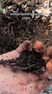 Stop depending on fertilizer and do these 5 things to grow a regenerative garden! Work with nature to grow the healthiest garden possible! | Garden Idea