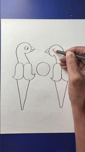How to draw two bird with pencil step by step