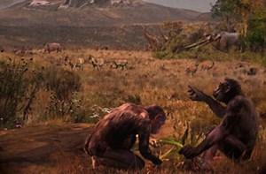 Evolution  des Menschen: Die Wiege der Menschheit liegt in Europa