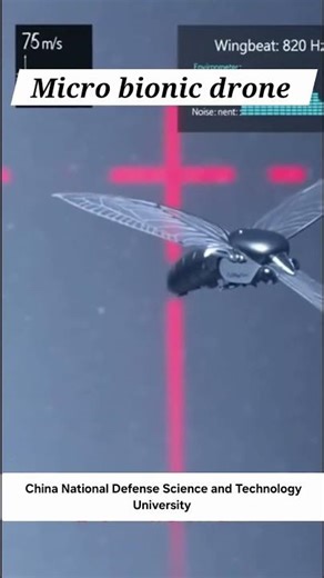 Awesome little bug drone! 🤩🚁 #shorts #micro #bug #Drone #Technology #Gadget