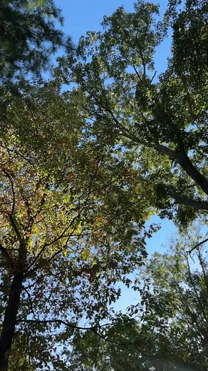 4.9K views · 62 reactions | This is our modern A Frame luxury cabin// THE FRAME! Check out the link in our bio for more information and booking!✨•••#aframecabin #vacationrental #modernarchitecture #airbnb #cabininthewoods #luxuryhomes #unique #interiordesign #hockinghills #ohio #thehockinghills #luxurygetaway | Creative-Cabins | Facebook