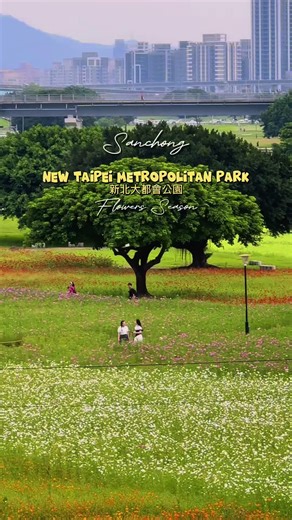 Exploring the Beauty of New Taipei Metropolitan Park