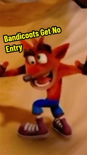 Bandicoots Get No Entry: Enjoy the Bop!