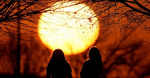 Da sombra do parque aos mergulhos na piscina: como os portugueses escapam ao calor