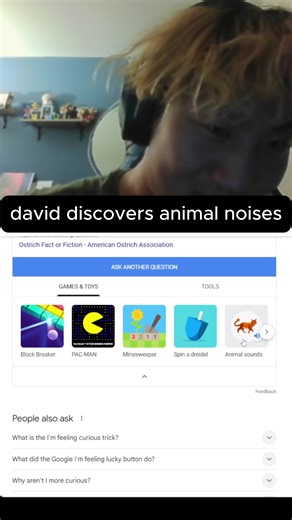 david so weird on TikTok