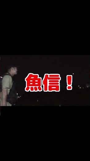 コオロギを釣りエサに釣りをしたら高級魚入れ食いだった！ #Shorts