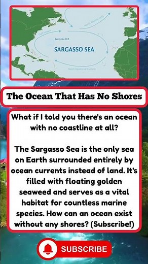 #OceanFacts #SargassoSea #MarineLife #GeographyFacts #ViralFacts