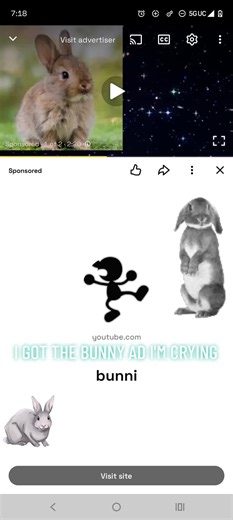 bunni bunni bunni bunni bunni bunni bunni bunni bunni bunni bunni bunni bunni bunni bunni bunni bunni bunni bunni bunni bunni bunni bunni bunni bunni bunni bunni bunni bunni bunni bunni bunni bunni bunni bunni bunni bunni bunni bunni bunni bunni bunni bunni bunni bunni bunni bunni bunni bunni bunni bunni bunni bunni bunni bunni bunni bunni bunni bunni bunni bunni bunni bunni bunni bunni bunni bunni bunni bunni bunni bunni bunni bunni bunni bunni bunni bunni bunni bunni bunni bunni bunni bunni bu