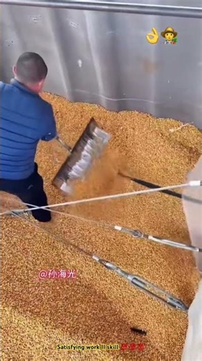 Unloading grain quickly with conveyor