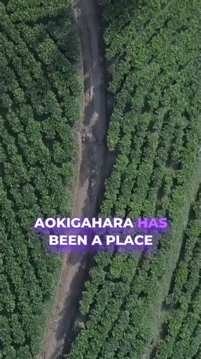 Exploring Aokigahara: The Enigmatic Sea of Trees #shorts