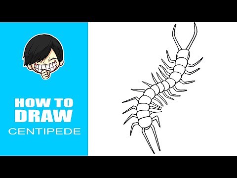 How to draw Centipede