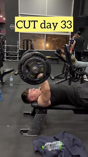 Transformation Bodybuilding Journeys: Day 33 Insights