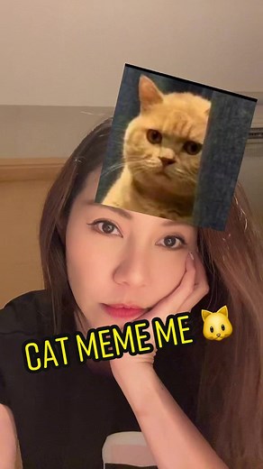 Omg that cat meme is totes me 🤣🤣🤣🤣 #catmemes