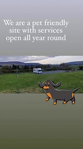 1.7K views · 17 reactions | We are a pet friendly Aire!If you like to...