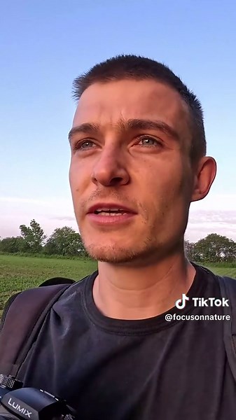 Capturing Stunning Photos of UK Foxes