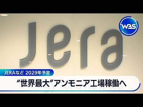 “世界最大”アンモニア工場稼働へ　JERAなど　2029年予定【WBS】